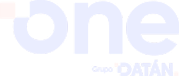 ONE Logo